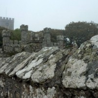 Grey Church Scene