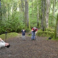 Photo shoot in Trevaylor woods 13 08 2012