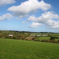 walk in the fields