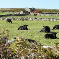 Little Bosullow, Carn Galva and Lanyon - 16th Oct, 2012