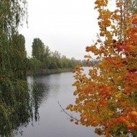 the lake