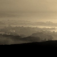 Misty Morn 2