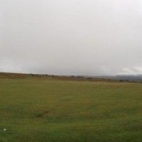 Panoramic of the mist
