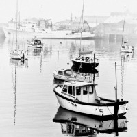 MISTY PZ HARBOUR