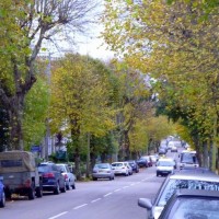 Autumnal Alexandra Road 6