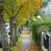 Autumnal Alexandra Road 8