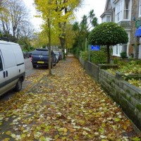 Autumnal Alexandra Road 11