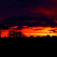 sky alight
