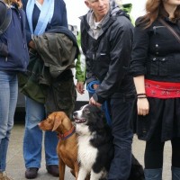 Lafrowda 2011