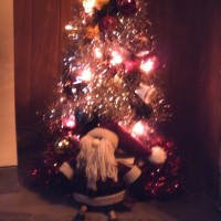 MY LITTLE TREE