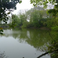 The Old Reservoir