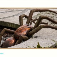 eden arachnoid