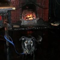 The Star Inn, St Just - 06Feb'09: A cosy scene!