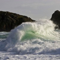 Wave