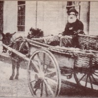 John Divane