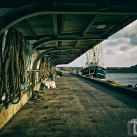 Moored Up In Newlyn