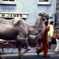 Circus Penzance 1970s