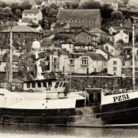 PZ 51