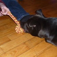 Inka starting to play