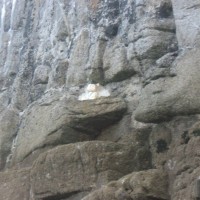 Teddy at the St Michaels Mount