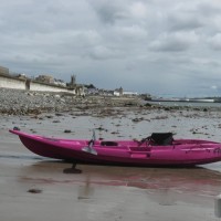 IMG_5273