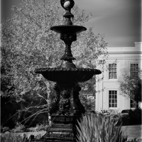 Fountain In Morrab