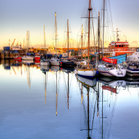 Harbour Reflections