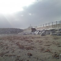 Lower Prom