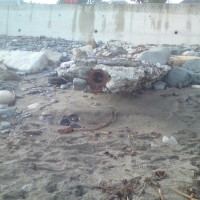 Western Green beach