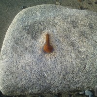 Old Railing Base