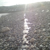 Remains of Old Sea Wall, Western Green beach