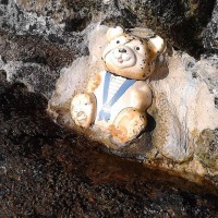 Teddy Cookie Jar On the Penzance side of the harbour wall, St Michaels Mount.