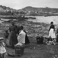 Newlyn fishwives