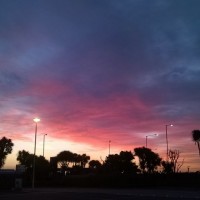 WP_20161007_07_15_03_Pro