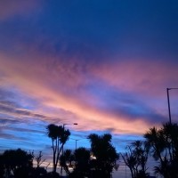 WP_20161004_07_20_01_Pro