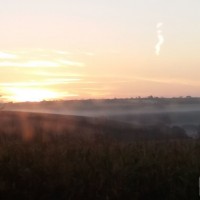 Misty