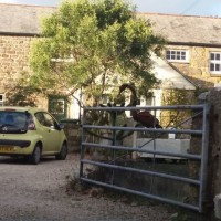 My Old Home