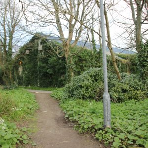 The pathway to the failed indoor swimming pool