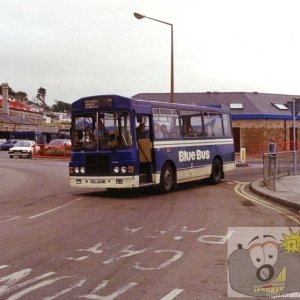 Blue Bus!