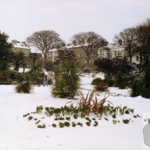 Morrab Gardens