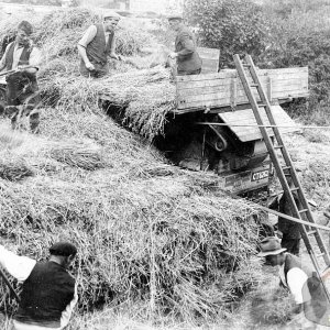 Bringing in the harvest