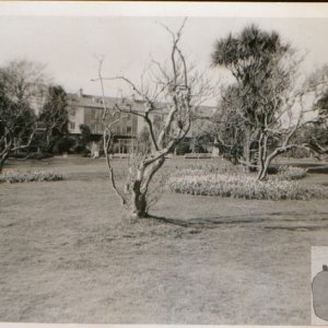 Morrab Gardens 1960s