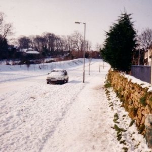 snow pic