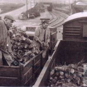 Marazion Sidings