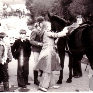 Horse