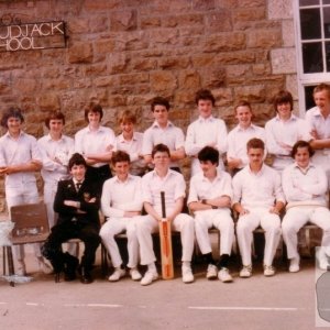 Anyone for cricket