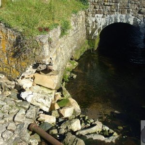 Still not mended! Eastern green - 21Jun10