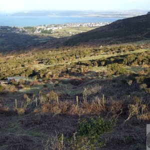 Rosewall Hill, St Ives - 10Feb2010