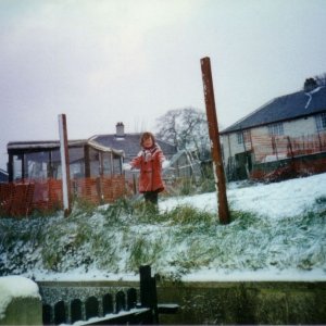 Colinsey