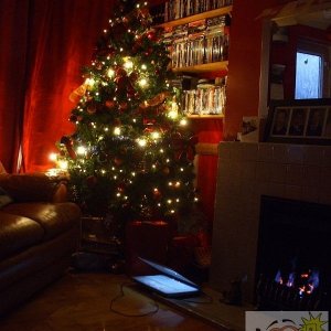 Happy Christmas 2008